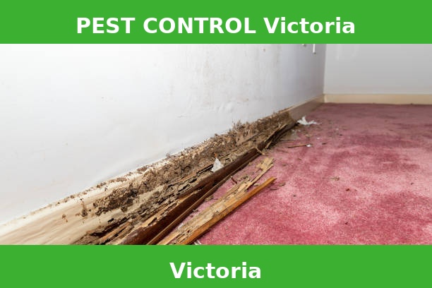 PEST CONTROL Victoria